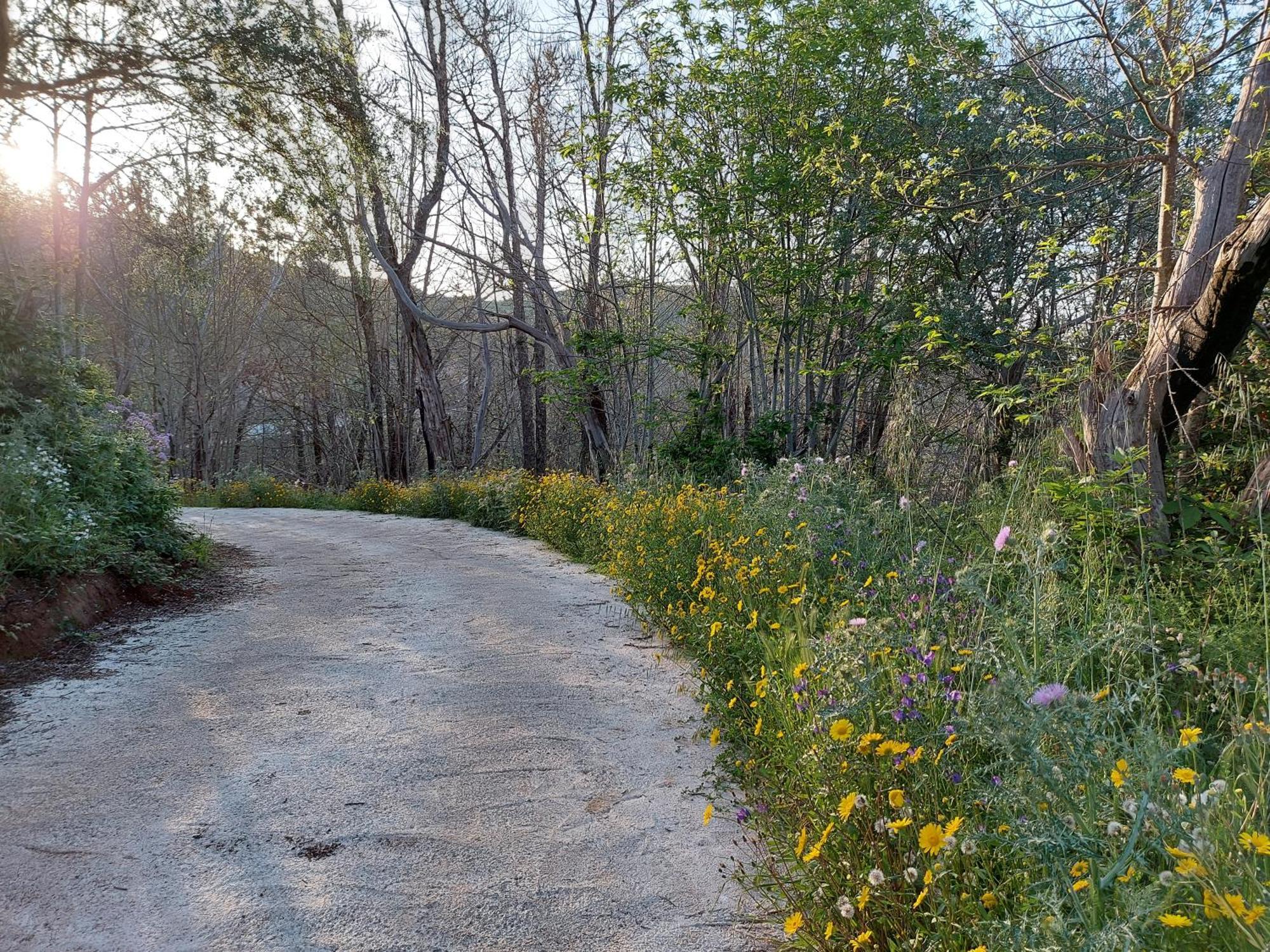 Finca Naturacanaria 모야 외부 사진