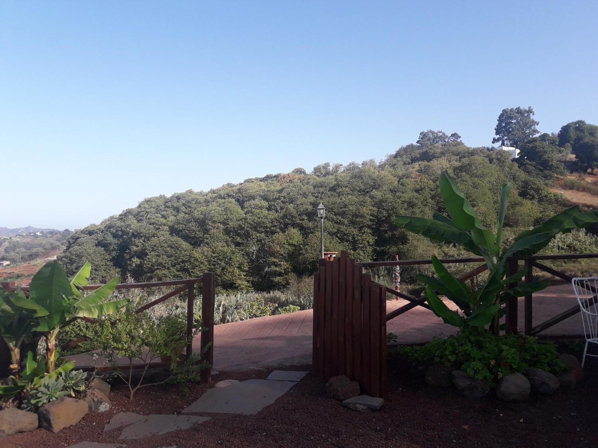 Finca Naturacanaria 모야 외부 사진