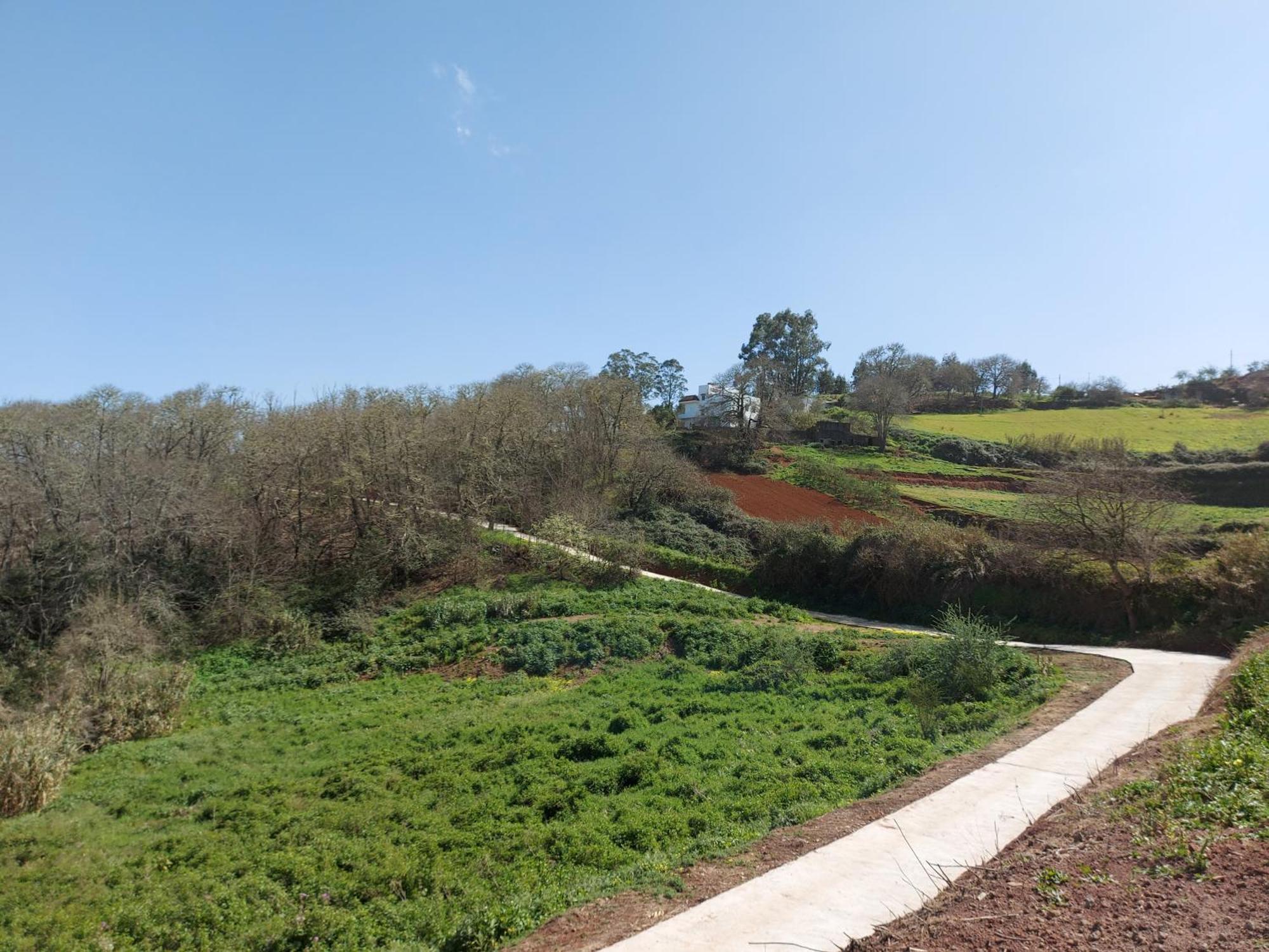 Finca Naturacanaria 모야 외부 사진