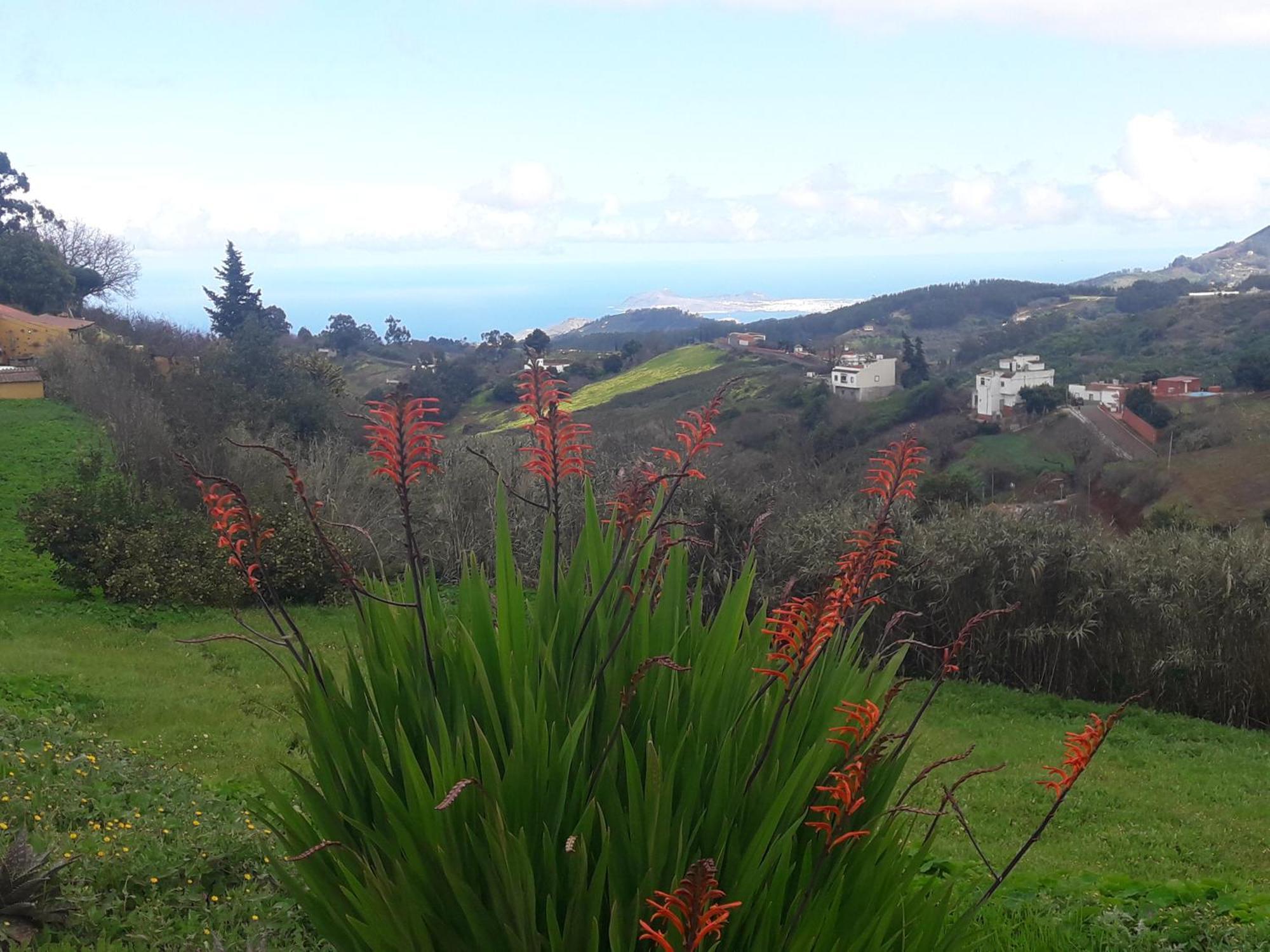 Finca Naturacanaria 모야 외부 사진