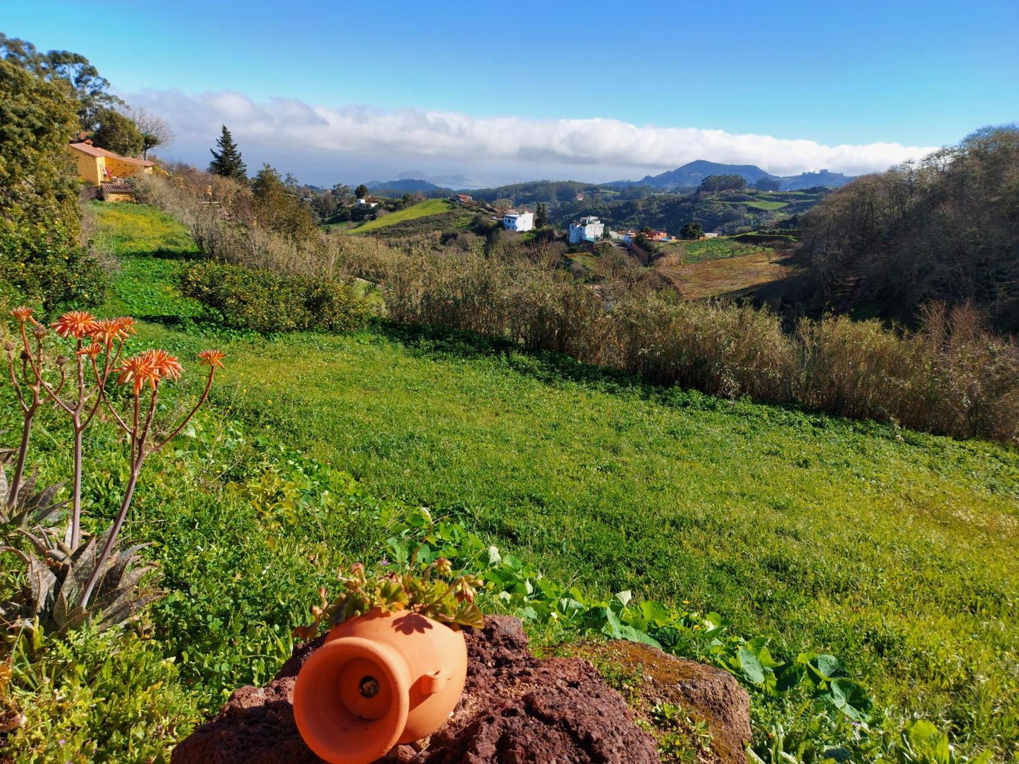 Finca Naturacanaria 모야 외부 사진
