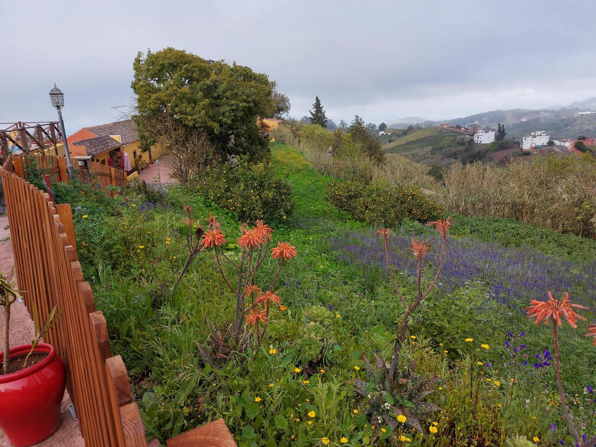 Finca Naturacanaria 모야 외부 사진
