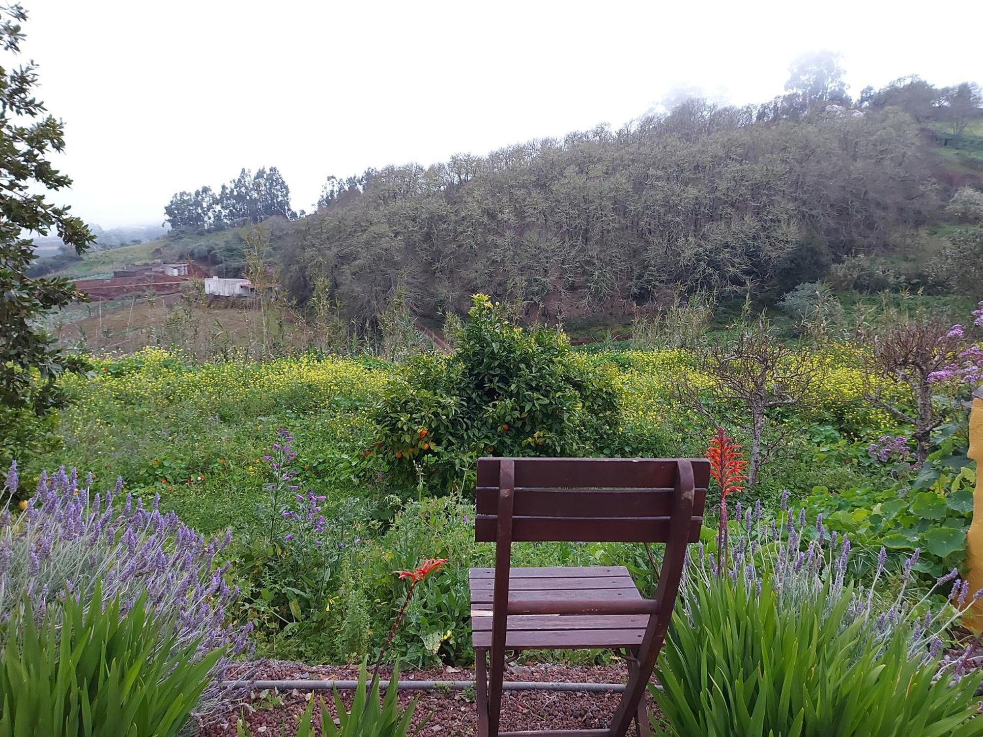 Finca Naturacanaria 모야 외부 사진